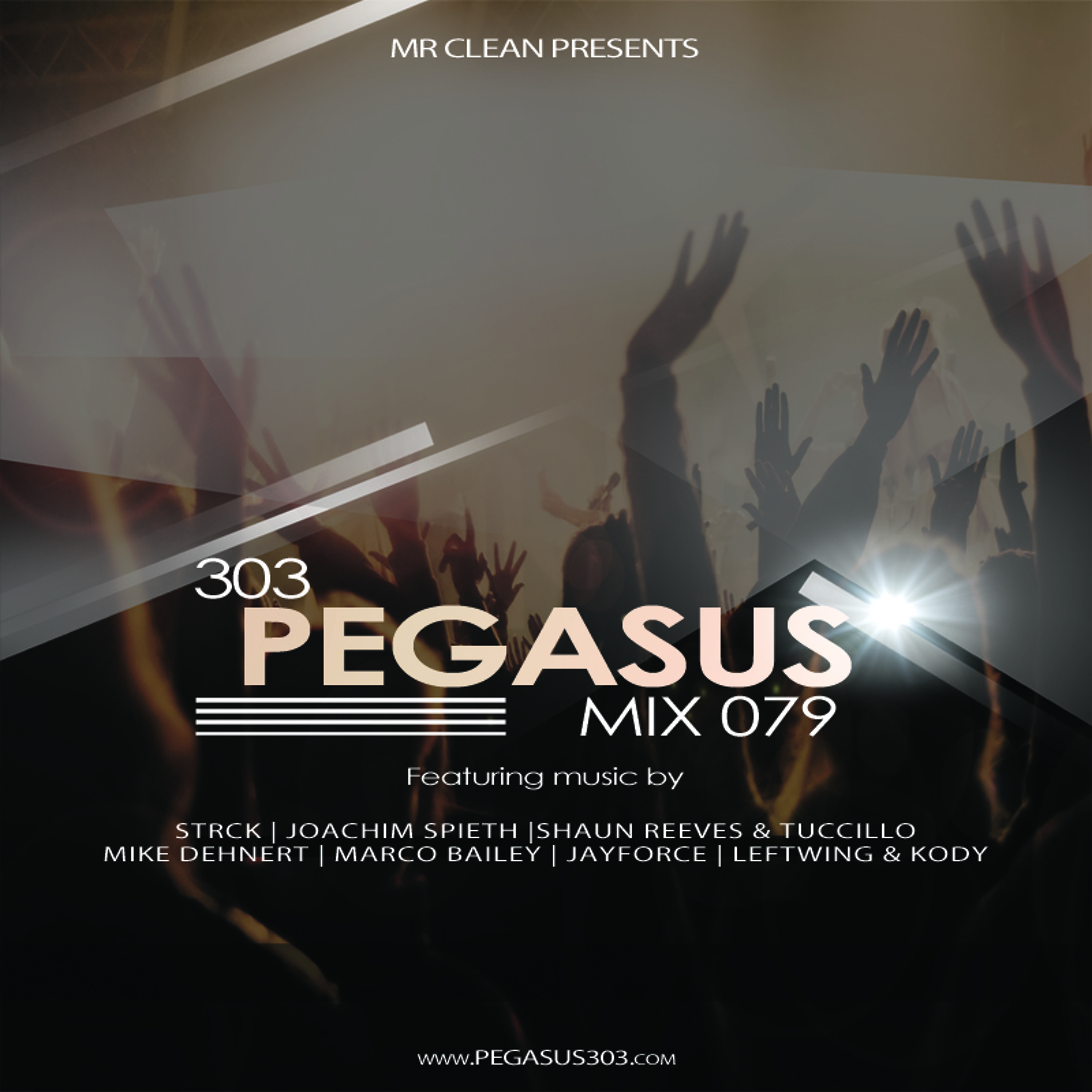 Pegasus 303 (mrclean)