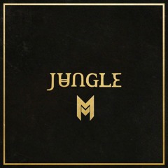 Jungle - Busy Earnin' (Marozi Remix)