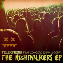 Telekinesis - She Wants To Skate (Original Mix)