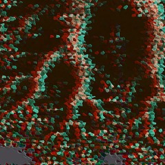 Craven