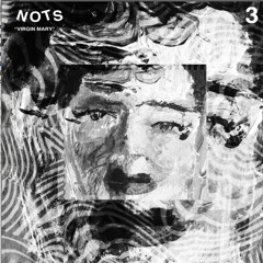 Nots "Virgin Mary" // 7" Out Now On Goner Records