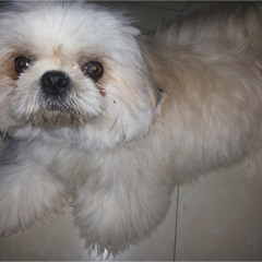 Josh Turner - Your Man (Cover)