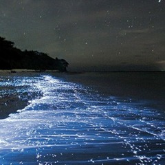 OASIS PT.2 (Quiet Mercenary x Buu-Dini)