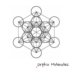 12/5 - HOLLY TRAP -  *LIVE TEST FOR KOKOPELI*