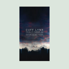 Prowl ft. Parker Joe (SATORI IN BED Remix)