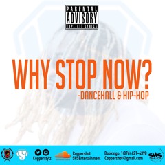 CopperStylz a.k.a SupaStylz Presents - Why Stop Now?