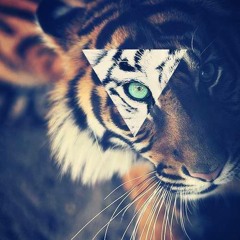 S.G & A.E UP VS ECUAJEY (DJ BRO PRZ RMX)(♥DEMO♥)