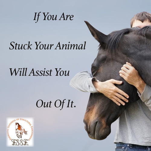 If You Are Stuck Your Animal Will Assit You Out Of It
