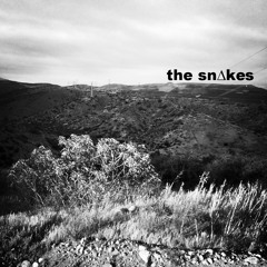 The Snakes - Amethystmonk *the Hills EP