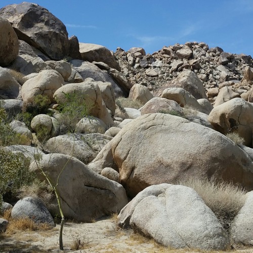 Percussion improv in Joshua Tree on rock base with found objects