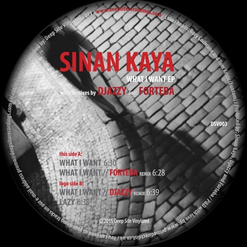 Sinan Kaya - What I Want (Original Mix) PREVIEW