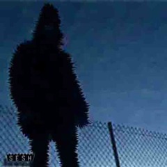 intro (ft. j-walk)