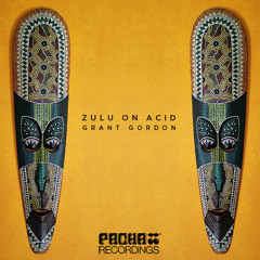 Grant Gordon-Zulu On Acid (Da Funk's Woza Nami Rework)