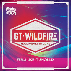GT & Wildfire feat. Freaks In Love - Feels Like It Should (Cassian Remix) [OUT NOW ON BEATPORT]