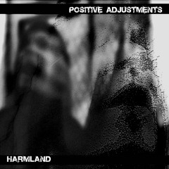 POSITIVE ADJUSTMENTS - You will not be save