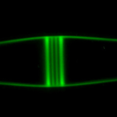Photons