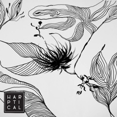 David Carollo @ URBAN CELESTIAL NIGHT #1 (w/ Harptical) - 9/5/2015 - Cascina Martesana, Milan, Italy