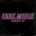 Anne-Marie Karate Artwork