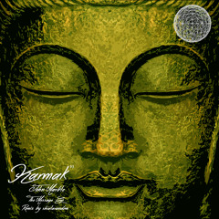 John Marble - The Message (Shialarandom Remix)