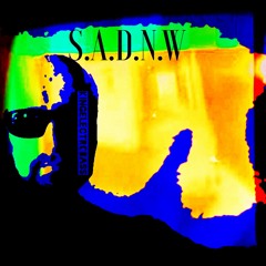 S.A.D.N.W