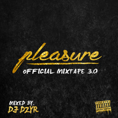 PLEASURE 3.0 (RNB MIX)