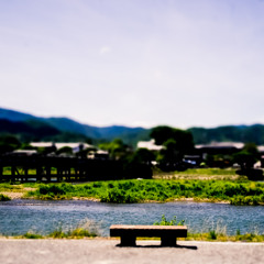 Enjoy the summer