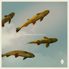 MGF028 - Swimming With Birds [Jake Chambers Remix] (Snippet)