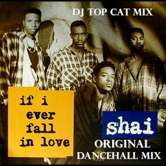 Shai - If I Ever Fall In Love - Original Reggae Dancehall Mix  DJ Top Cat