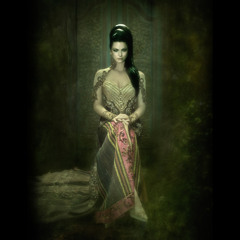 Evanescence - Bring Me to Life (Gamelan Version)