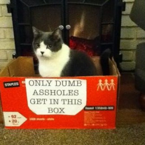 Chephren Blake Feat. Meighan Nealon - Year After(Original Mix)