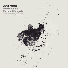Jared Pastore - Without A Trace (Tom Peters & Un Node Remix)