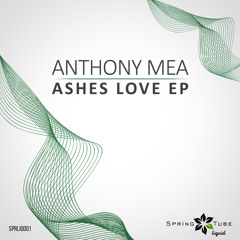 Anthony Mea - Ashes Love [Spring Tube Liquid]
