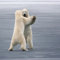 Waltz No. 2 in A minor