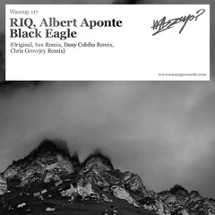Albert Aponte - Black Eagle EP / WAZZUP? RECORDS