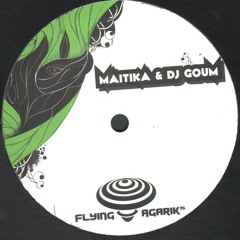 Manouche flying agaric 15 vinyle by djgoum
