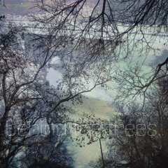 behind the trees