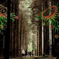 "enter the forest" Forestdelic