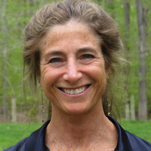 Loving Yourself Into Freedom - TaraBrach (retreat talk)