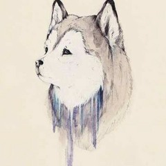 Deep in the woods at Ali Wolf