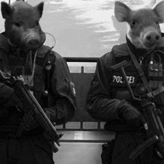 Bald Headed Pig Punks