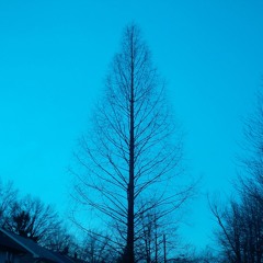 Dorian Gray: Mvt. I - Countenance and Its Portrait