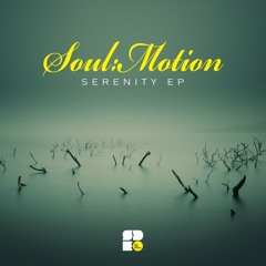 Soul:Motion - Tender Emotions (Telex Remix) (Out Now on Soul Deep Recordings)