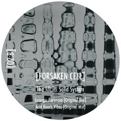 The 矯激 Solid System - Acid Roach Vibes (Original Mix)