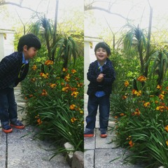 ზღაპარიყო