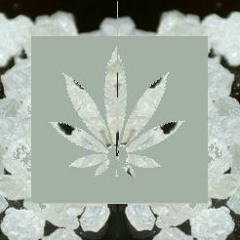 Rocks