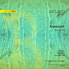 Anamorph_Levitation_Vinyl Speed Adjust interpretation_ARUPA013