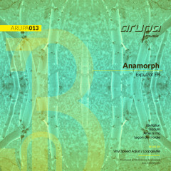 Anamorph_Radum_Loopdeville remix_ARUPA013