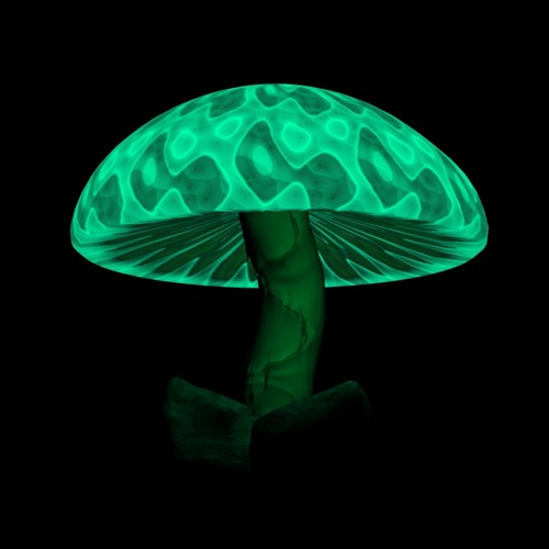 Extraterrestrial Mushroom [preview] *Coming on nem album*