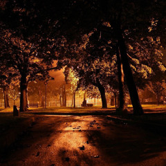 Voodoo Allen - Night In The Park