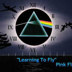 Pink Floyd - Learning To Fly